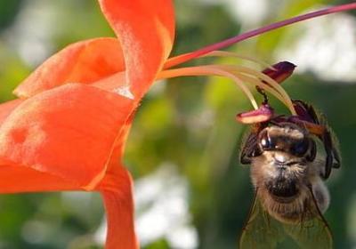 什么句子最难翻译(优选15句)