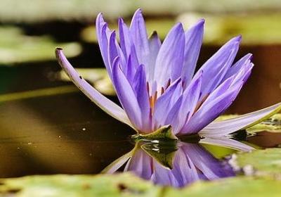 什么句子表示心累(推荐50句)