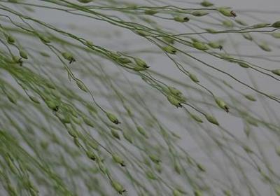 什么什么是吗补充句子(共61句)