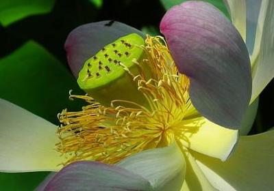 人工湖的句子(15句)