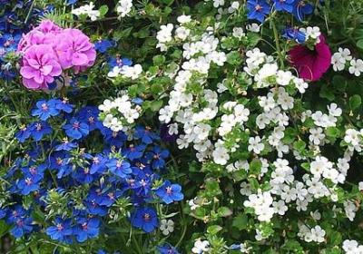 人在失意之时的句子(共79句)