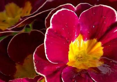 人多气派的句子(共74句)