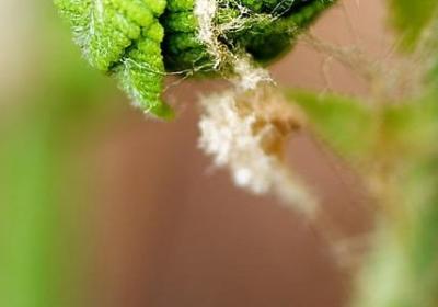 人折磨的句子(共20句)