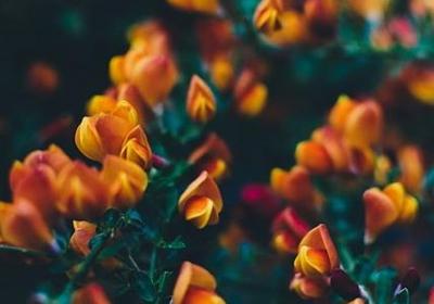 人心现实的句子(通用50句)