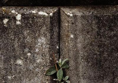 人情世故的句子(热门40句)