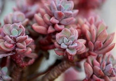 人死后的心情的句子(精选60句)