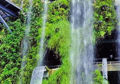 人心太善良的句子(精选50句)