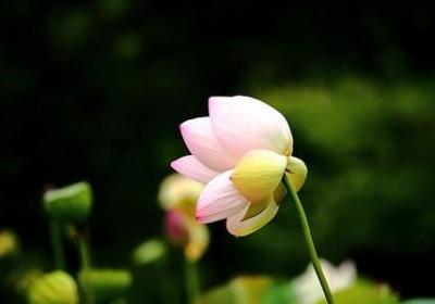 人物中年句子(实用50句)