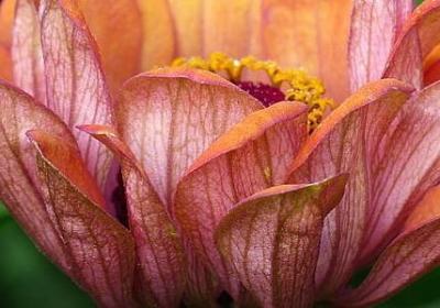 人生上进的句子(推荐40句)