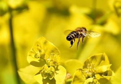 人物形象描写的句子(推荐60句)