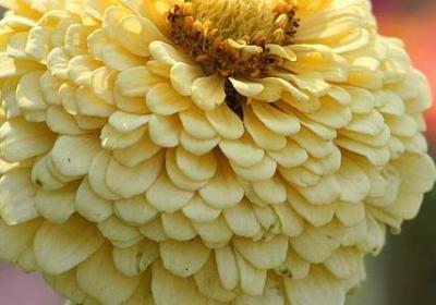 人渣的经典句子(汇总40句)