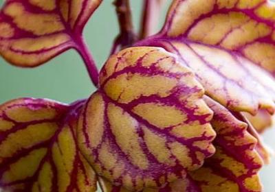 人生信任句子说说心情(合集50句)