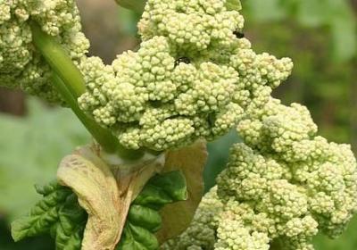 人生不开心的句子(精选80句)