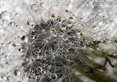 人生只需放松的句子(精选40句)