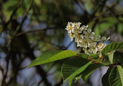 人生哲理的句子经典2017(实用40句)