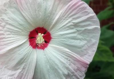 人生哲理的简单句子(必备50句)