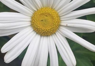 人生兜兜转转的句子(汇总70句)