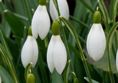 人生悲欢离合句子(必备70句)