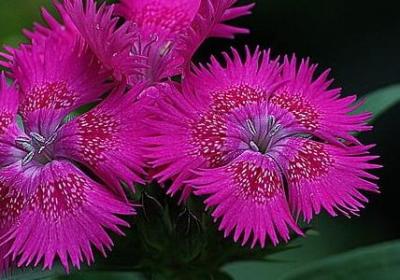 人生经历感恩的句子(50句) 人生经历感恩的句子(50句)