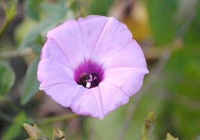 人生纠结的句子(实用50句) 人生纠结的句子(实用50句)