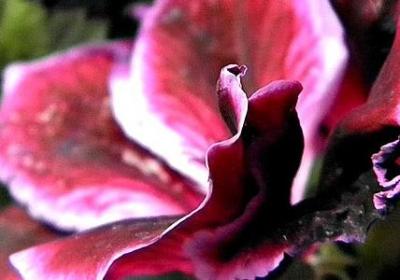 人生高度变化的句子(69句) 人生高度变化的句子(69句)