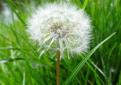 人的本性的句子(必备50句)