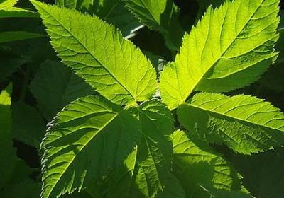 什么人山人海的句子(热门40句)