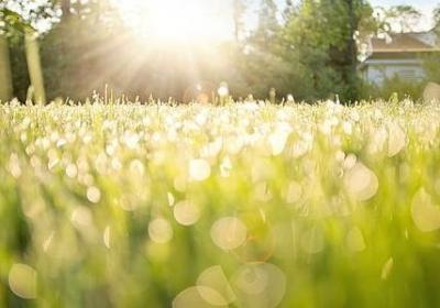 人霉的句子(实用20句)