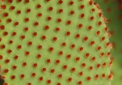 人间冷暖的句子(合集60句)