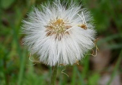 什么什么死的句子(精选40句)