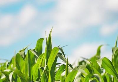 人物生活技巧的句子(推荐50句)