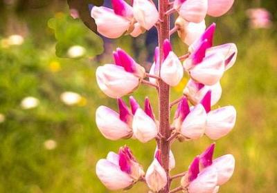 人生在于选择的句子(共70句)