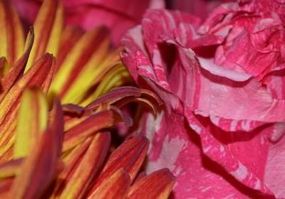 人生多少遗憾的句子(合集50句)