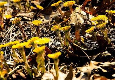 人生感悟励志句子古诗(通用49句)