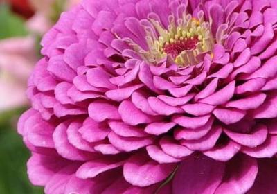 人生最美伤感句子简短(精选50句)