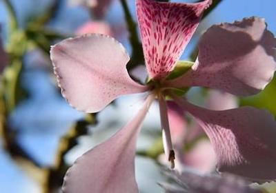 人生遇到好事的句子(热门50句)