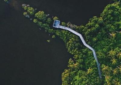 人类爱情的感悟句子(合集51句)