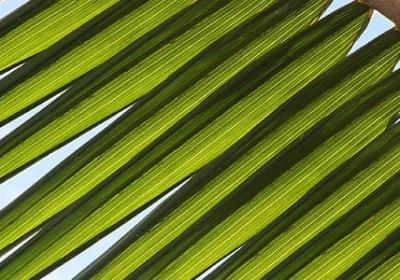 人要有距离的句子(共50句)