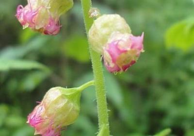 人设句子迷(优选80句)