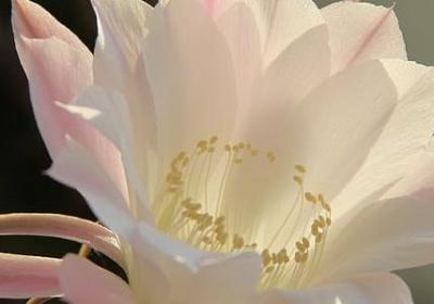 人走散唯美句子(合集20句)