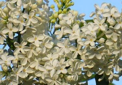 人间绝句精辟句子(精选50句) 人间绝句精辟句子(精选50句)