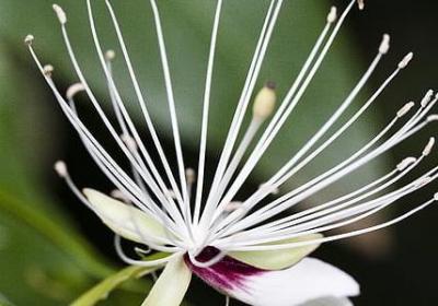 什么一就什么写句子(推荐20句)