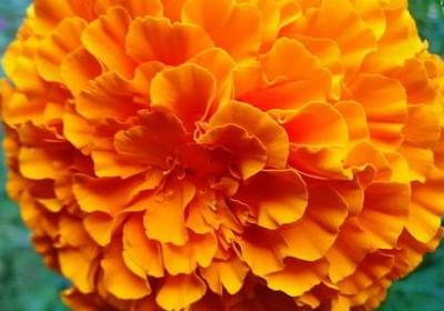 什么句子还有哪些(合集71句)