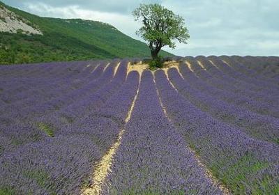 什么句子这就是生活(推荐65句)