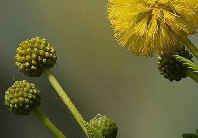 什么句子里加the(优选69句)