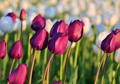 人到中年的反思句子(合集20句)