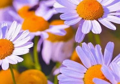 人与人之间评论句子(汇总50句)