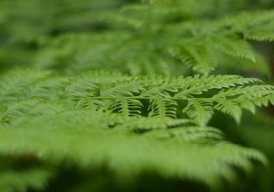 人前人后各一套的句子(汇总22句)