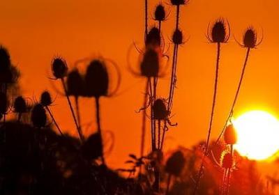 人家看不起你的句子(推荐40句)