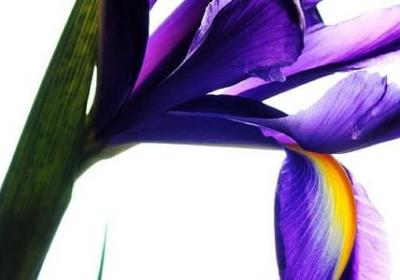 人在失望时候的句子(80句)